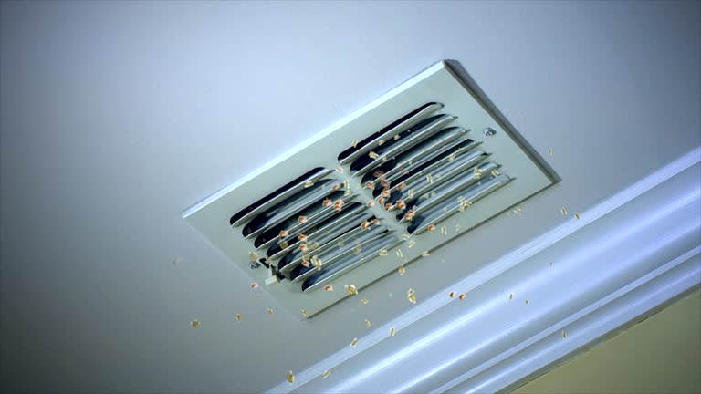 Best HVAC Air Duct Cleaning  in Chlicothe, IL