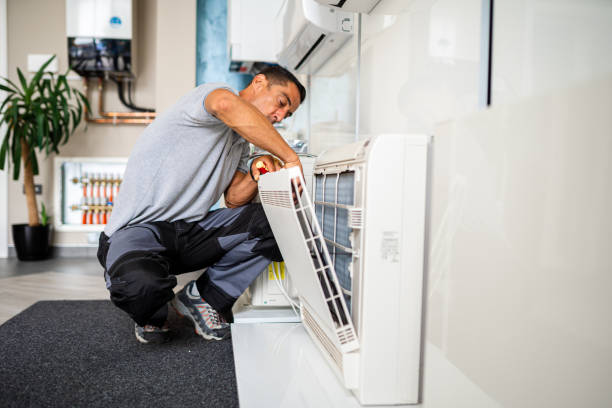 Best Air Duct Mold Removal  in Chlicothe, IL