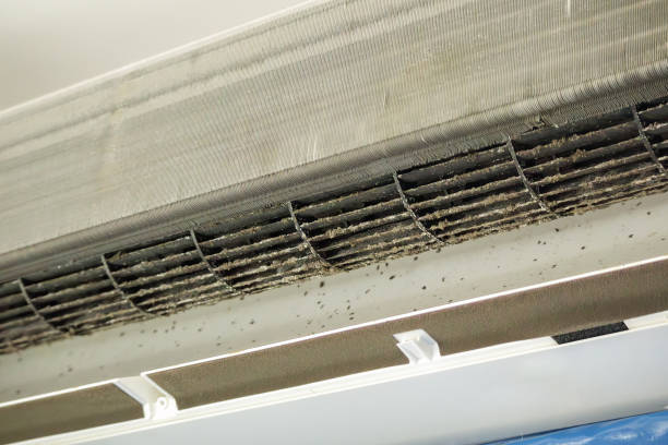 Best Local Air Duct Cleaning Services  in Chlicothe, IL